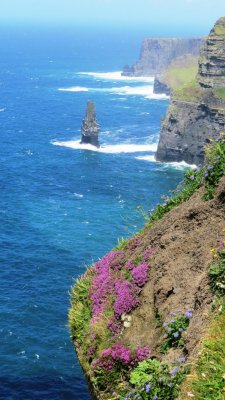 cliffs day35.JPG