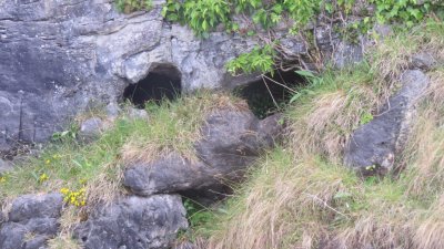 cliffs day40.JPG