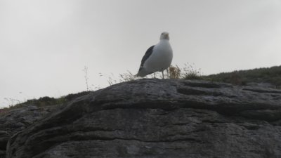 cliffs day42.JPG