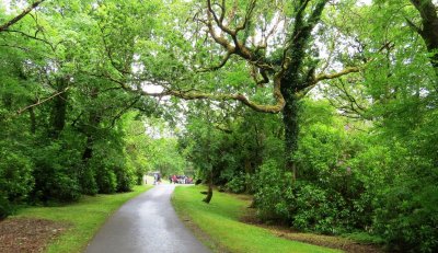connemara tour