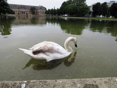 stutgart (9).JPG