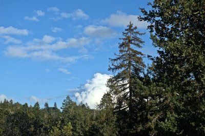 Rest of View