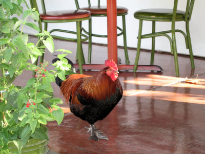 Heny Joined Us for Lunch