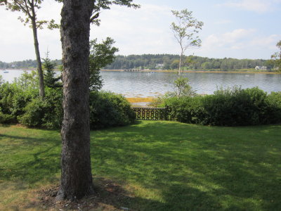 view again