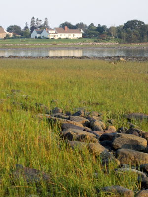 marsh view