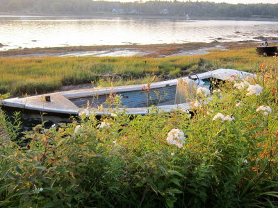 abandoned