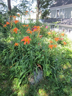 IMG_6900.jpg