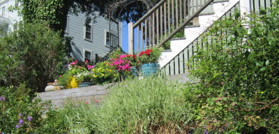 garden_july_2015