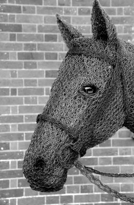Wire Horse