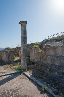 DSC_0853.jpg