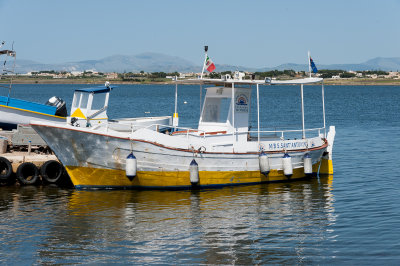 DSC_0914.jpg