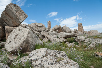 DSC_0978.jpg