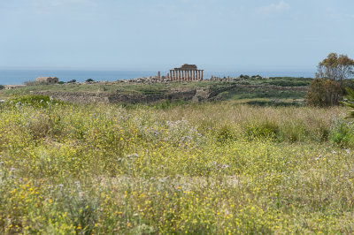 DSC_0986.jpg