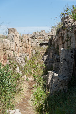 DSC_1000.jpg