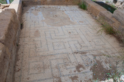 DSC_1006.jpg
