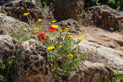 DSC_1041.jpg