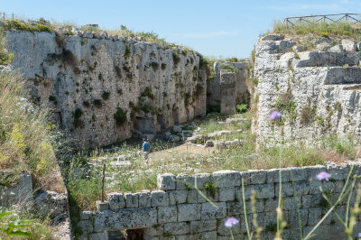 DSC_1210.jpg
