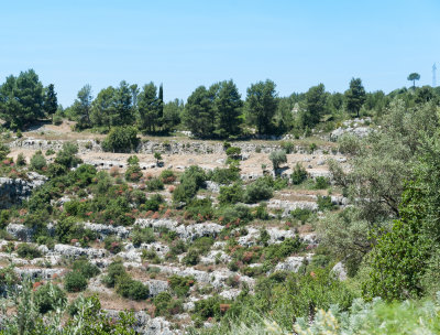 DSC_1238.jpg