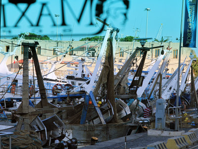 Part of the fishing fleet