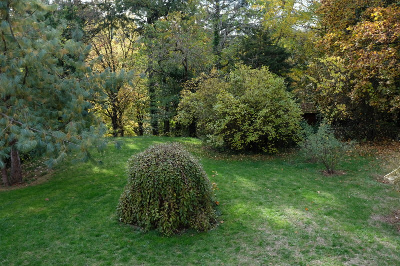 DSCF1012 - 2016-09-17 06-17-51.JPG