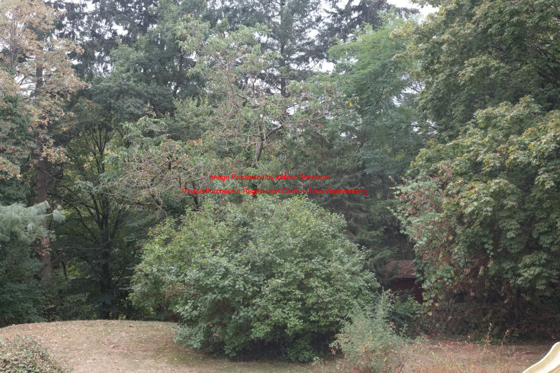 DSCF1012 - 2016-09-17 06-17-51.JPG