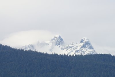 DSC_0125.JPG