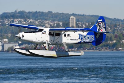 D4S_3076.JPG