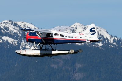 D4S_3105.JPG