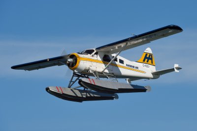 D4S_3123.JPG