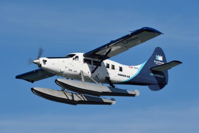 D4S_3153.JPG