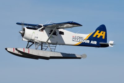 D4S_3215.JPG