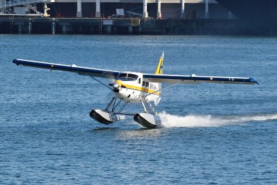 D4S_3239.JPG