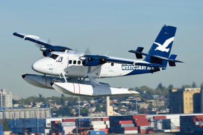 D4S_3382.JPG