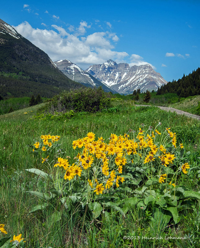 IGP0611-Waterton Lakes National Park.jpg
