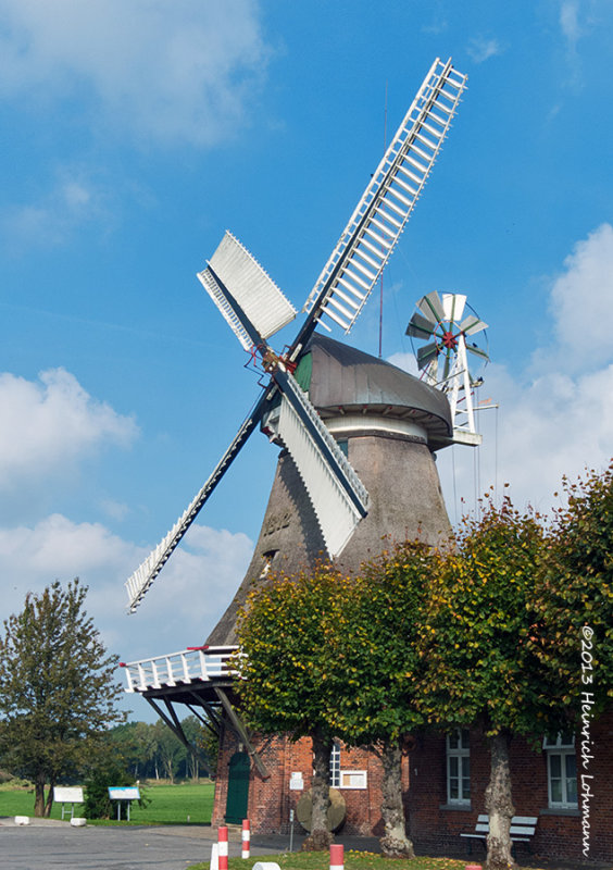 IGP7403.jpg