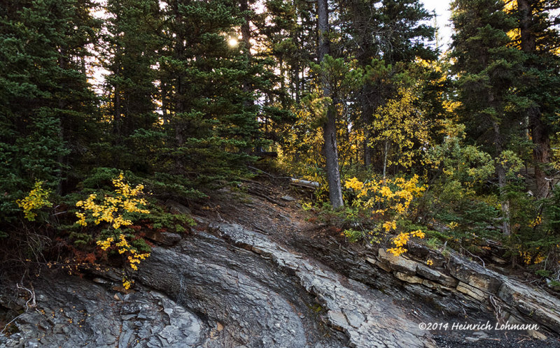 IMP2795-Kananaskis.jpg
