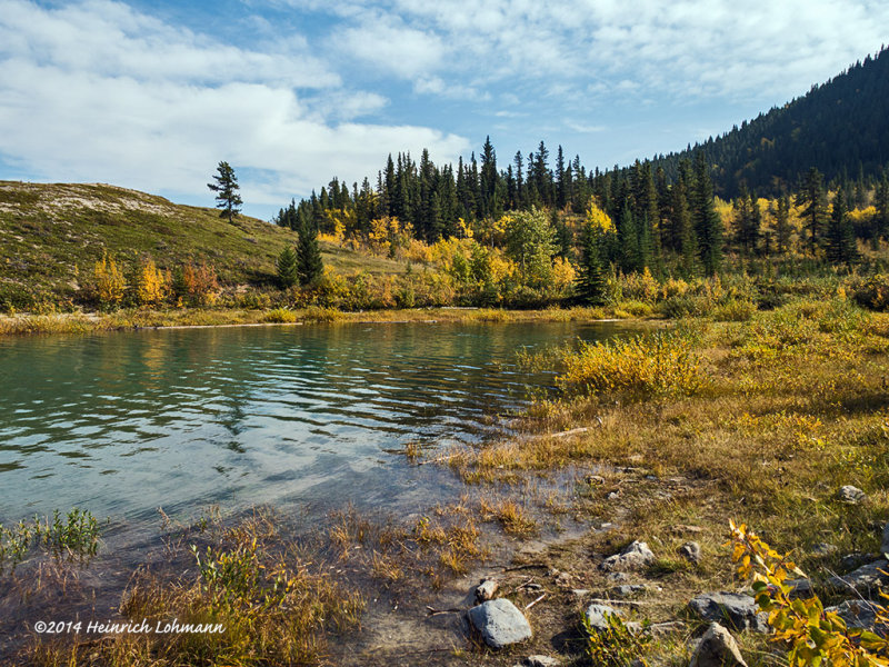 IMP2962-Kananaskis.jpg