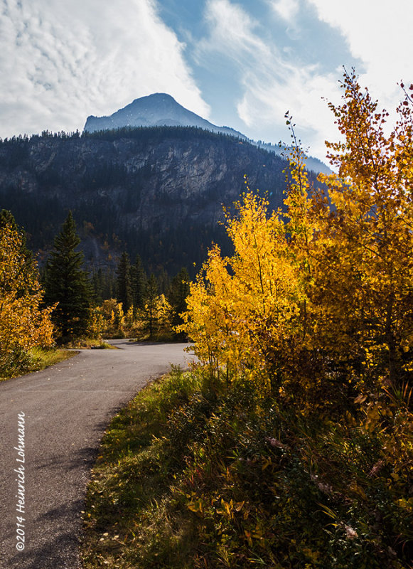 IMP2983-Kananaskis.jpg
