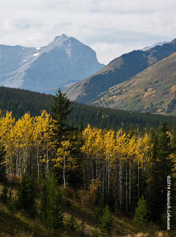 K3B2559-Kananaskis.jpg