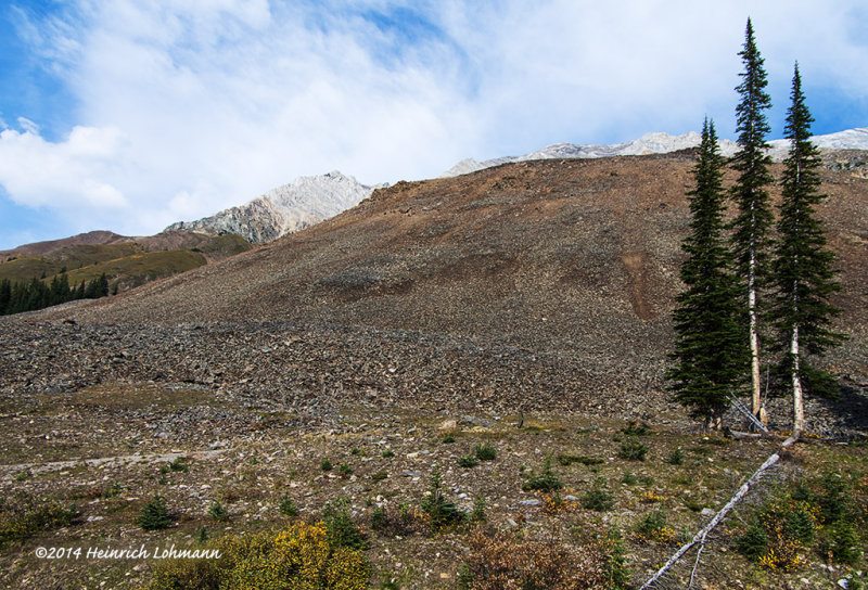 K5H9691-Kananaskis.jpg