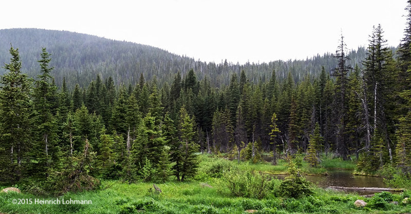 20150612_183236.jpg