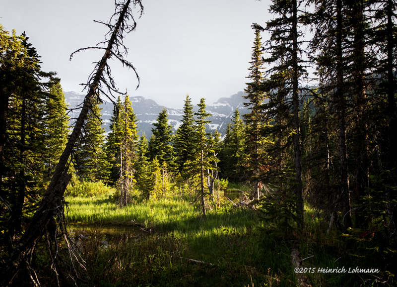 IMP8591-Waterton Lakes National Park.jpg