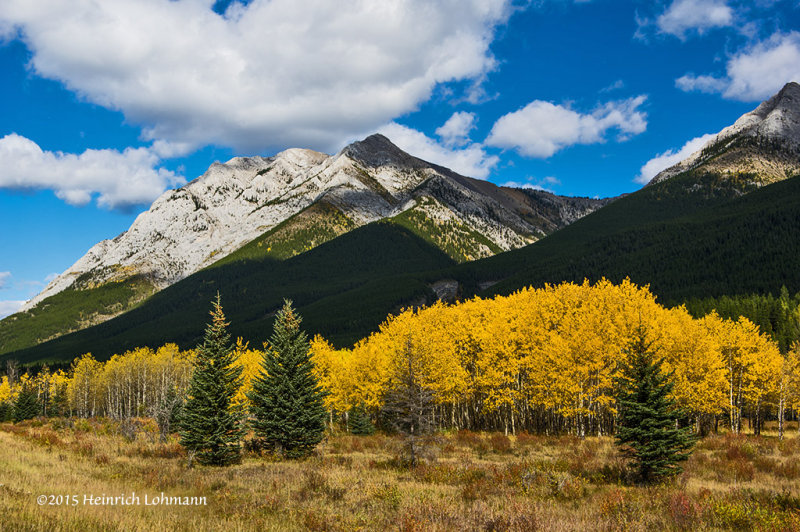 K3C9635-Kananaskis.jpg