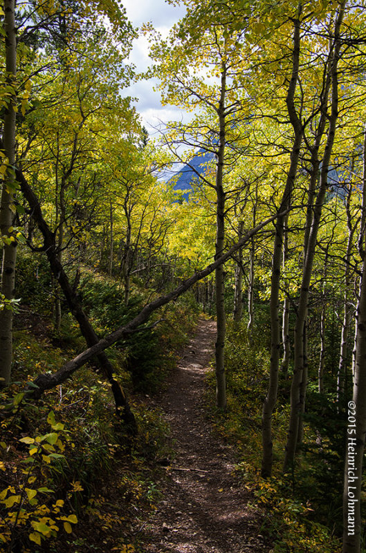 K3C9471-Kananaskis.jpg