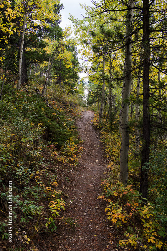 K3C9522-Kananaskis.jpg