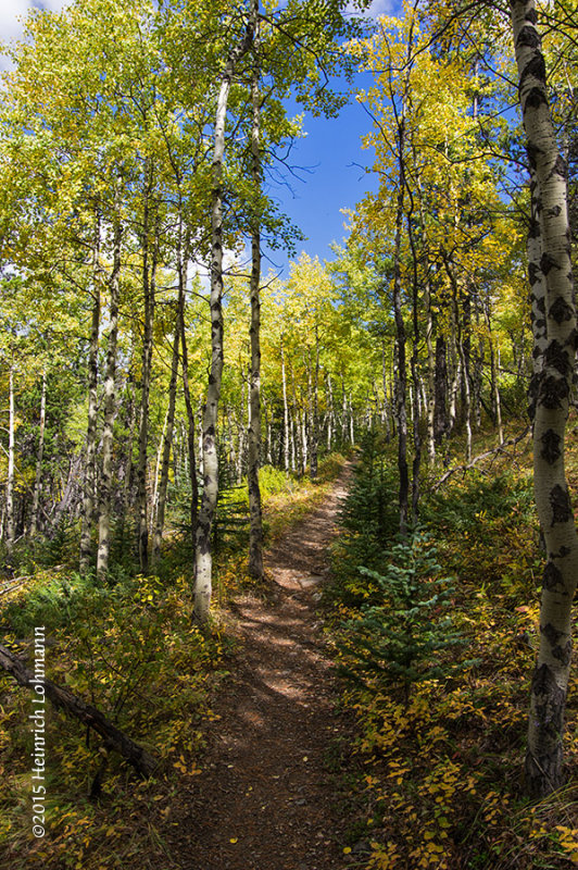 K3C9527-Kananaskis.jpg