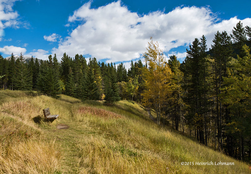 IMP0758-Kananaskis.jpg