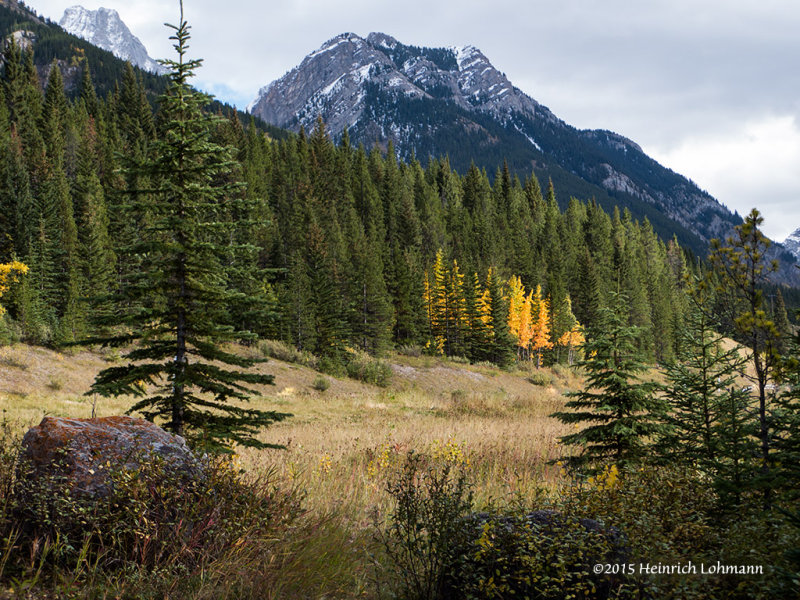 IMP0818-Kananaskis.jpg