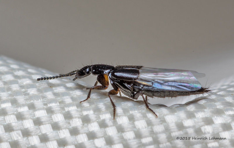 K3D5489-unidentified.jpg