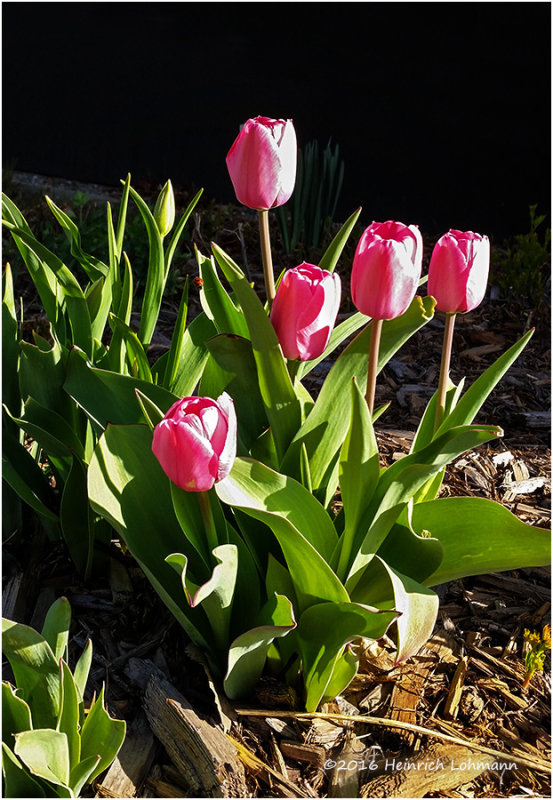20160421_095101.jpg